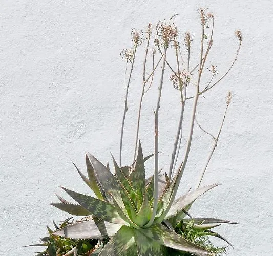 Appartamento Es Cuco Cala Galdana (Menorca)